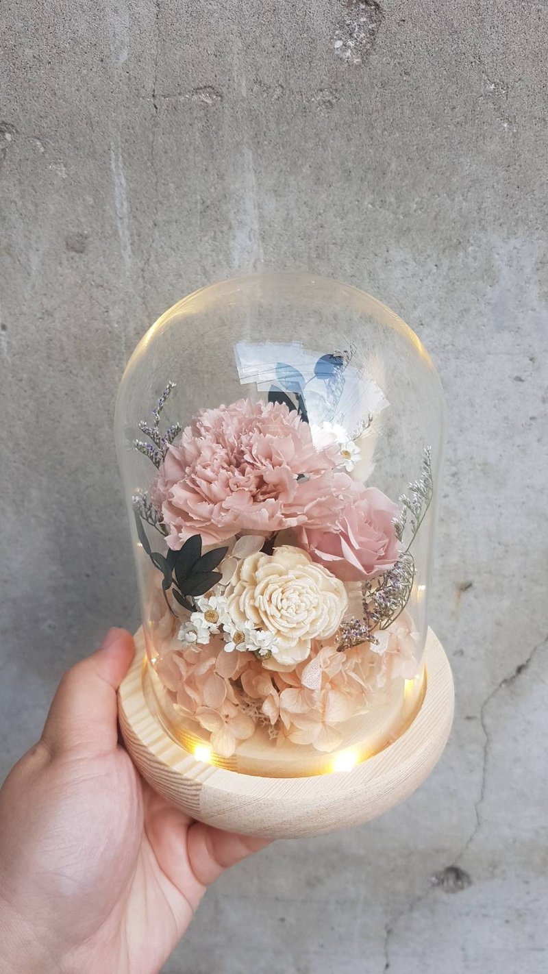 海藏设计| 温柔奶茶粉永生康乃馨。玻璃灯罩 夜灯 - 灯具/灯饰 - 植物．花 粉红色