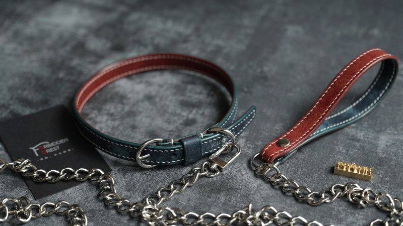 純手工牛皮項圈/手環兩用款 choker 撞色設計 顏色可選 定制刻字 - 项链 - 真皮 多色