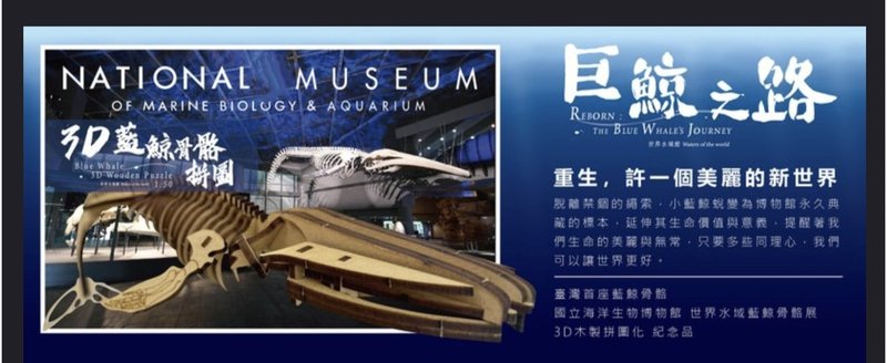 3D蓝鲸骨骼拼图 - 拼图 - 其他材质 