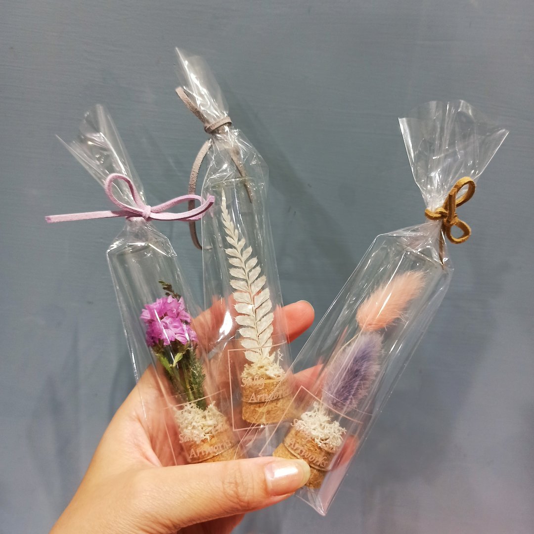 婚礼小物 植物标本  毕业小礼 试管花 礼物   二次进场 - 干燥花/捧花 - 植物．花 