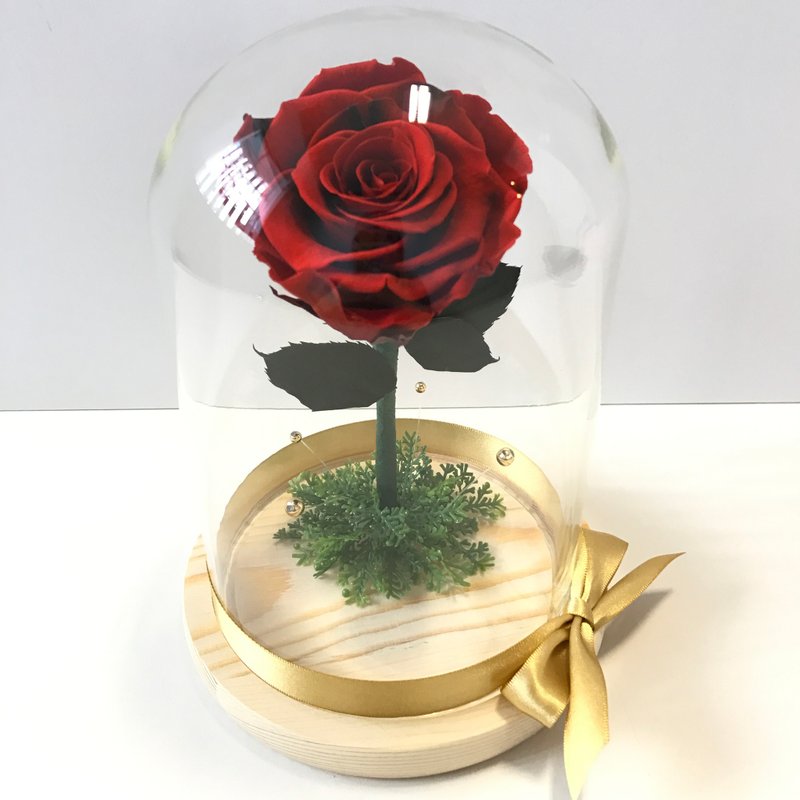 不凋花玫瑰 大型玻璃罩花礼  红黑色 - 干燥花/捧花 - 植物．花 红色