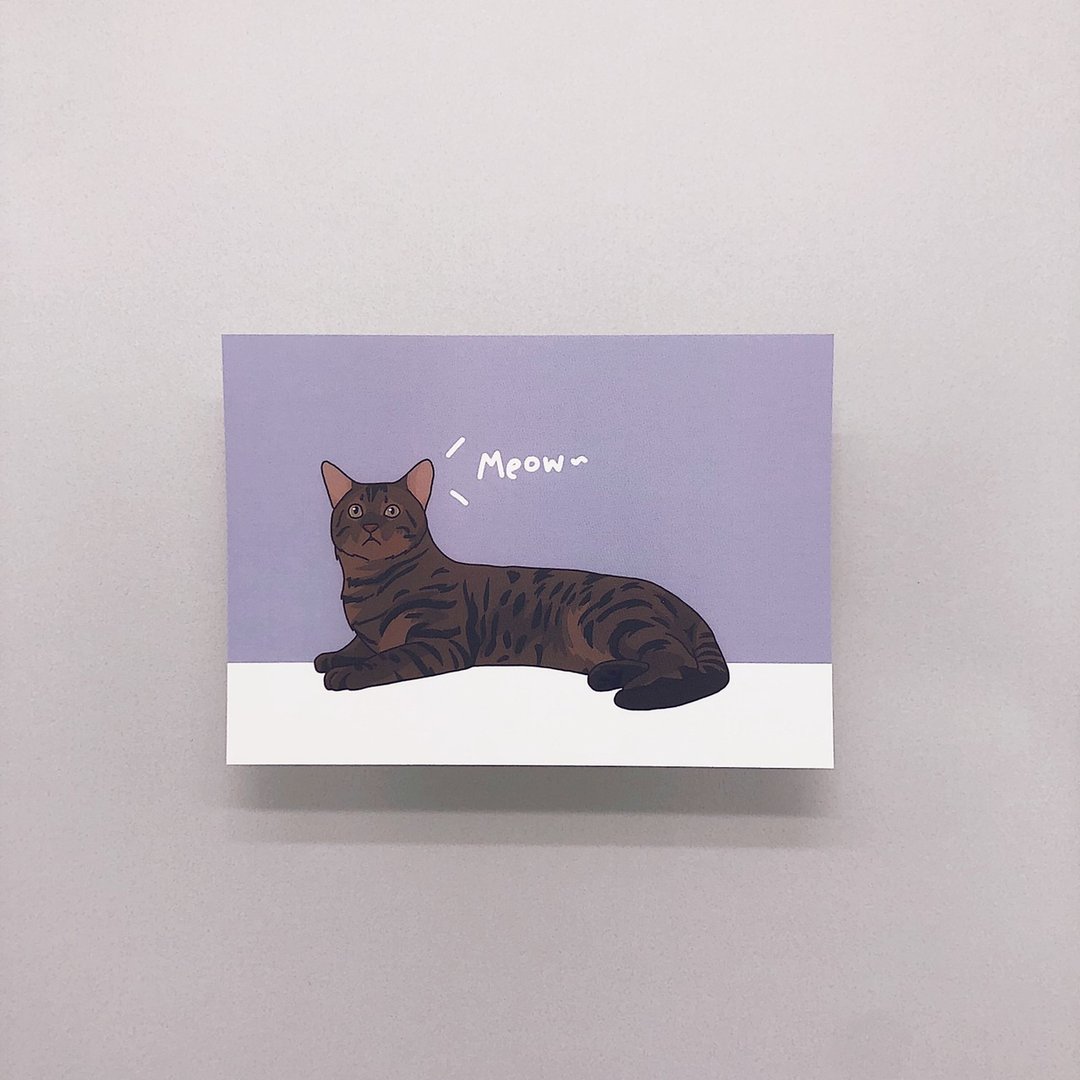 铲屎官-Meow~∣明信片 - 卡片/明信片 - 纸 多色
