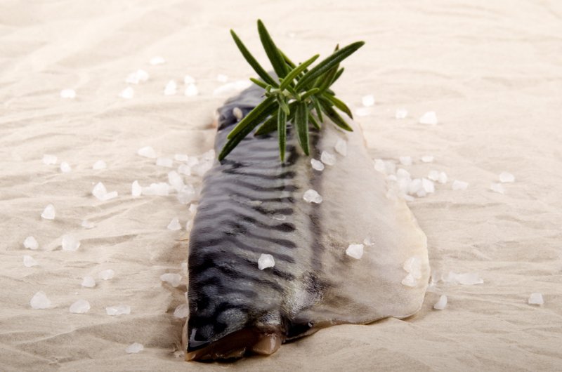 挪威淡盐鲭鱼片180g - 其他 - 新鲜食材 蓝色