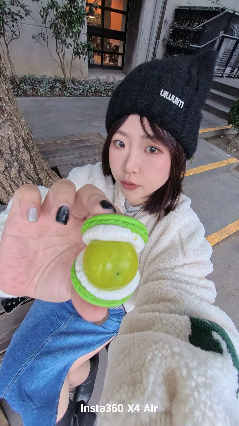 麝香葡萄6入马卡龙礼盒每周三出货 - 蛋糕/甜点 - 新鲜食材 绿色