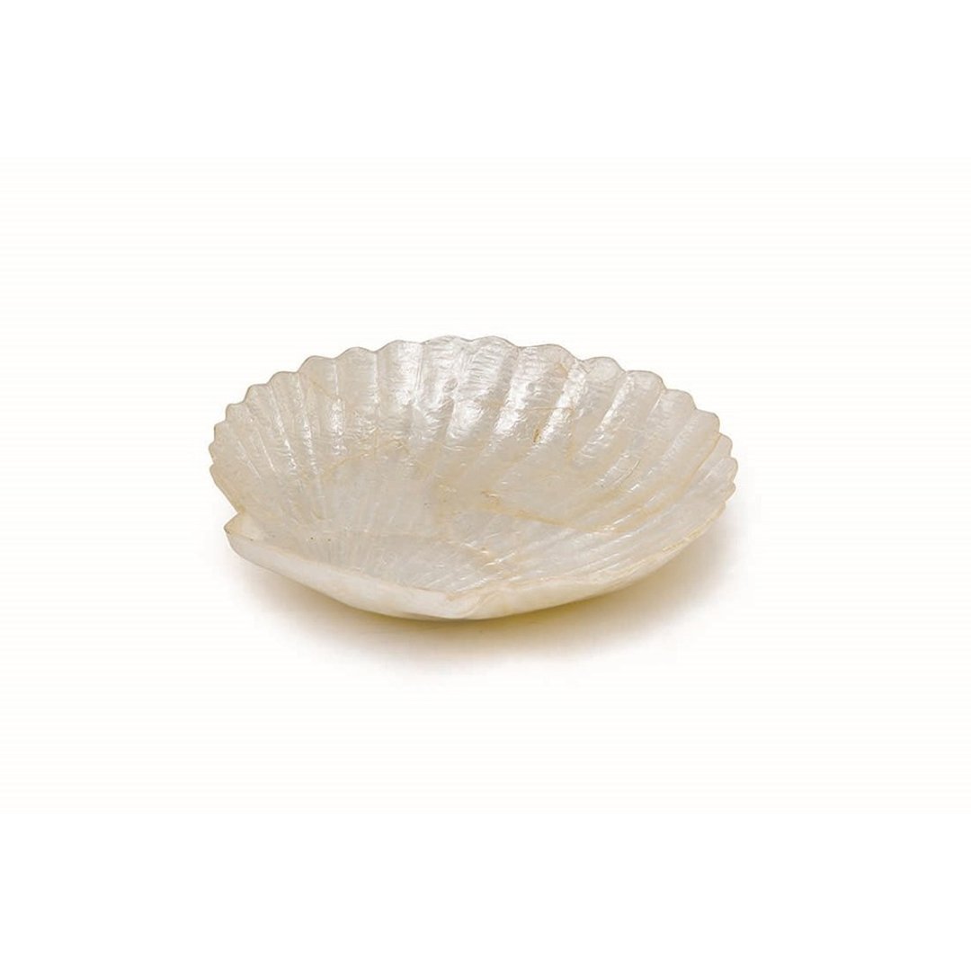日本 扇贝贝壳小物盘  贝壳白 摆饰首饰文具纪念品 - 摆饰 - 贝壳 