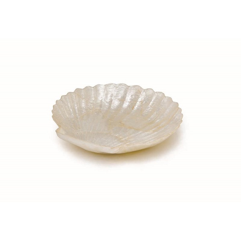 日本 扇贝贝壳小物盘  贝壳白 摆饰首饰文具纪念品 - 摆饰 - 贝壳 