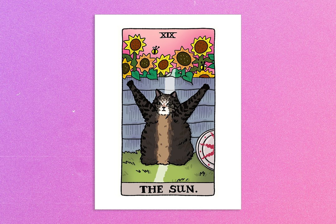 The Sun Plant Sunny Cat Meme Art Poster - 海报/装饰画/版画 - 纸 
