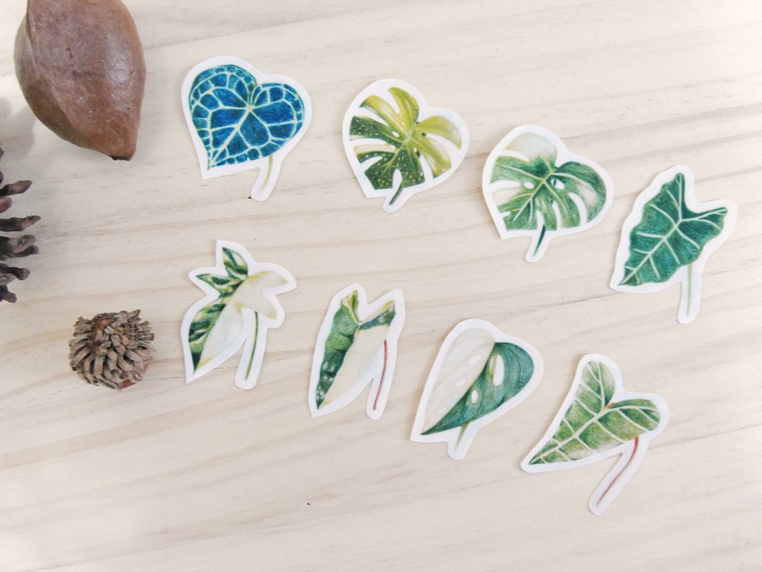 观叶植物贴纸组(8入) - 贴纸 - 纸 绿色