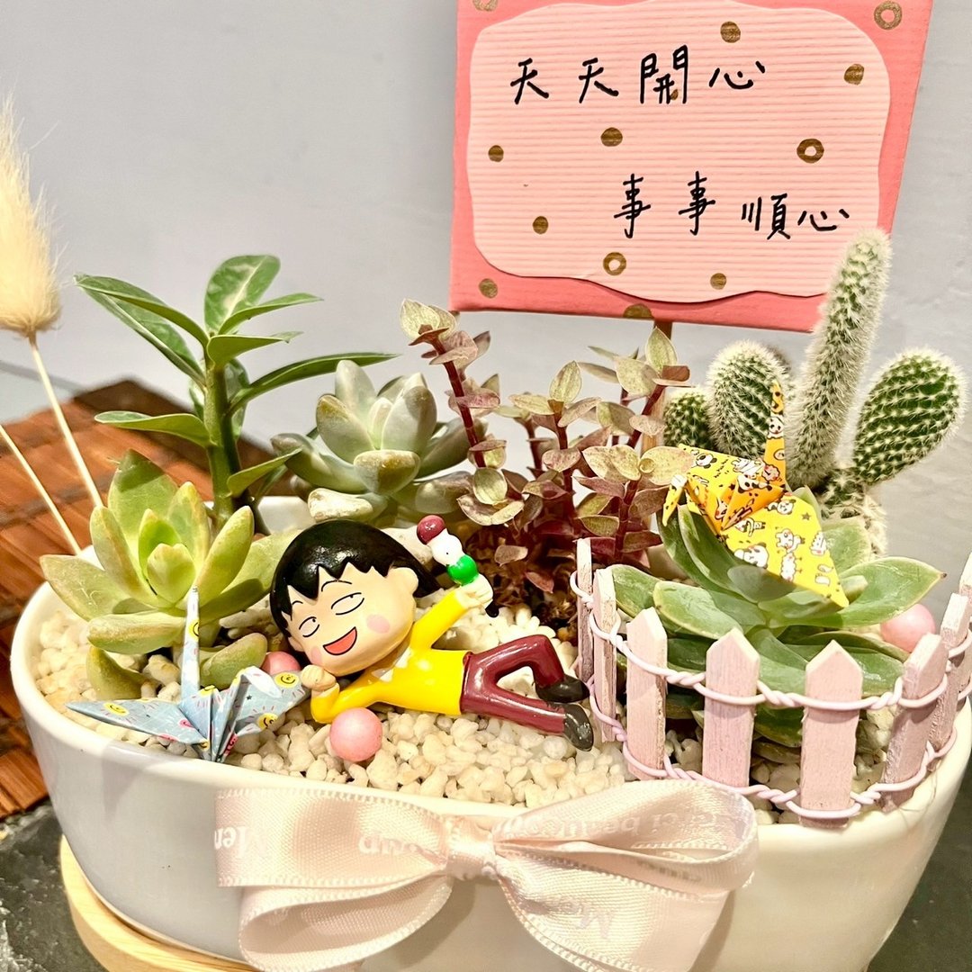 樱桃小丸子 日式 台中多肉组盆 多肉植物 庆祝 生日 晋升 庆祝礼 - 植栽/盆栽 - 植物．花 绿色