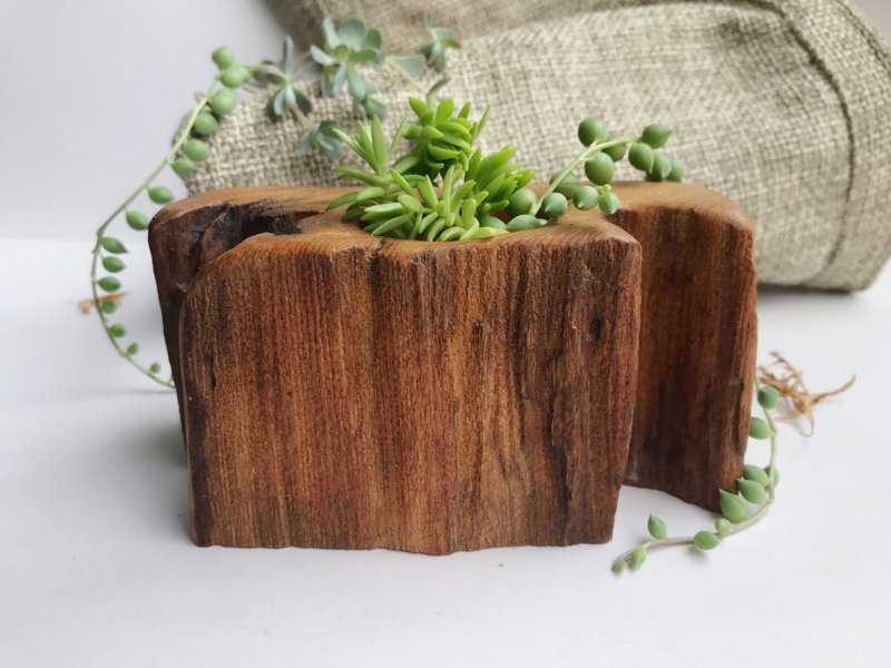 爱多肉~牛樟木风化 多肉植物盆 - 植栽/盆栽 - 木头 多色