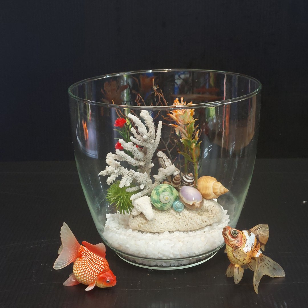 鱼缸 珊瑚海景、流木水草 组合造景 AM-002-S-01 - 花瓶/陶器 - 玻璃 