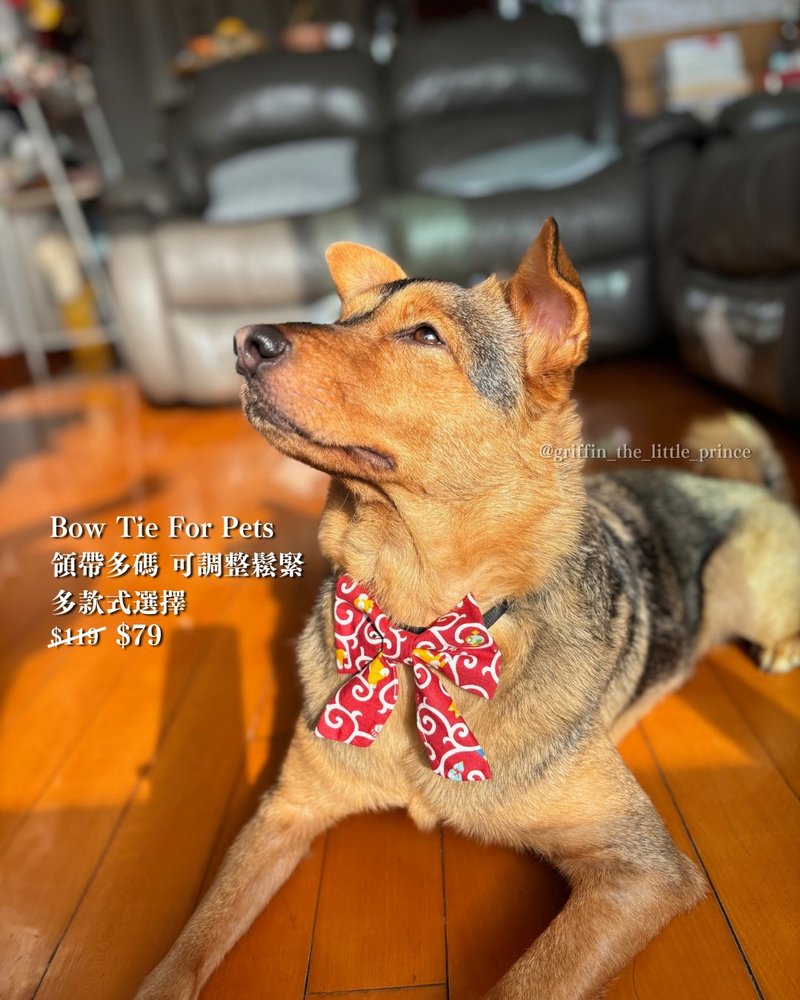 【宠物煲呔】 J015-正版日本布 可调松紧 可订造 宠物 Model: Gri - 订制抱枕/饰品 - 棉．麻 