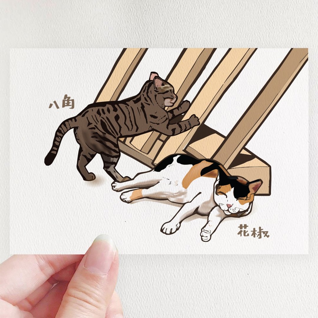 【慈善商品】浪猫的生活-明信片组 (4款选1) - 卡片/明信片 - 纸 白色