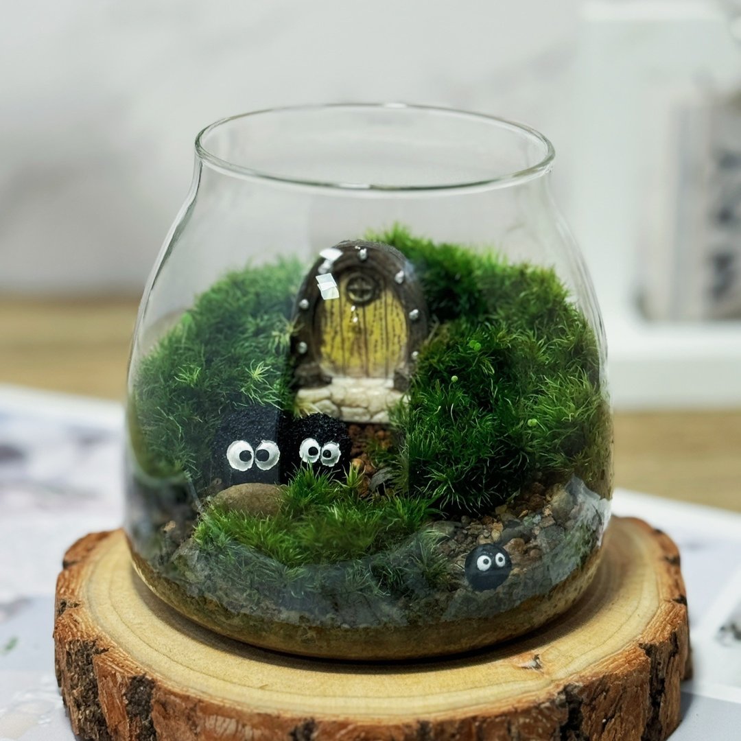 【微景观】煤炭球精灵之门 苔藓缸∣玻璃罐植栽 手作居家装饰 - 植栽/盆栽 - 植物．花 绿色
