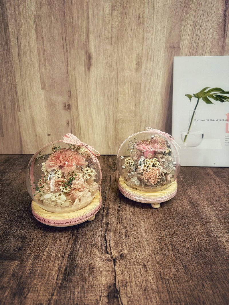 永生康乃馨钟罩夜灯款 干燥花/生日礼物/母亲节 - 干燥花/捧花 - 植物．花 