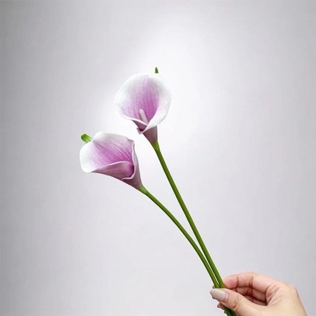 气质仙女淡紫色海芋仿真花花材(5入组) - 摆饰 - 塑料 黄色