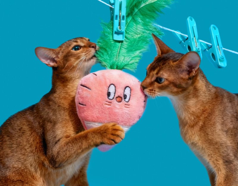 【粉萝卜】宠物发声陪伴/磨牙耐咬玩具 - 玩具 - 其他材质 多色