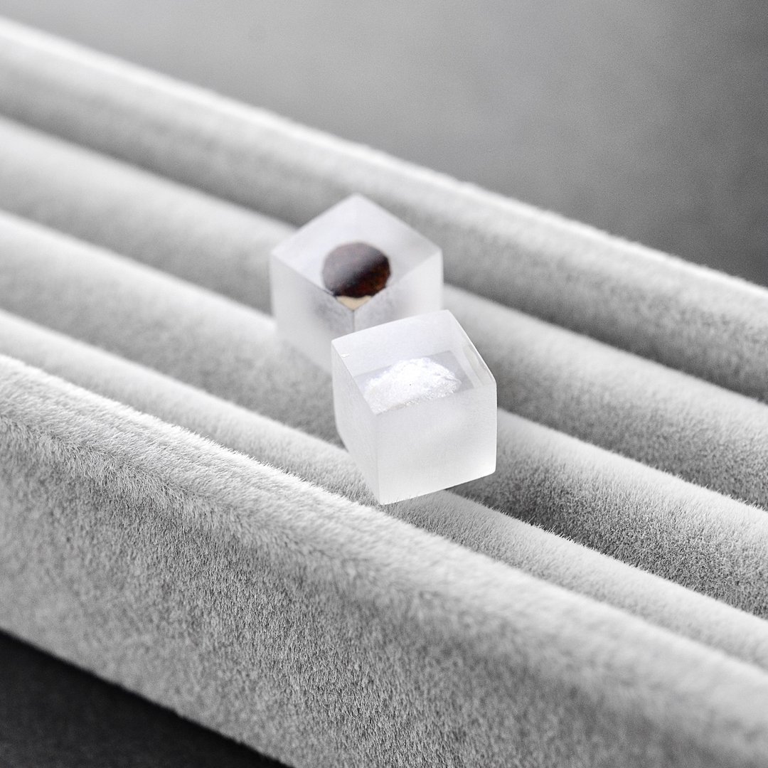 Salt and pepper stud earrings rock salt/black pepper/resin/ Stainless Steel/Japanese design contemporary jewelry - 耳环/耳夹 - 树脂 黑色