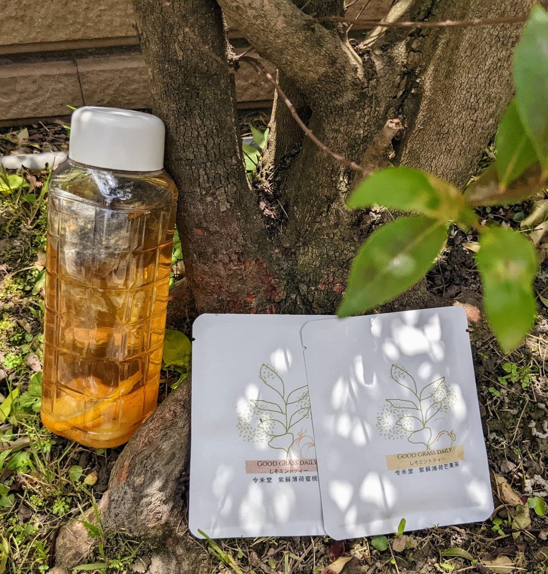 紫苏薄荷果干水, 夏日补水 提升保护力 - 茶 - 其他材质 绿色