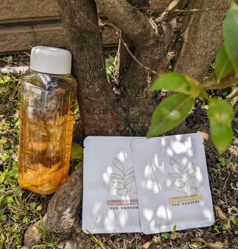 紫苏薄荷果干水, 夏日补水 提升保护力 - 茶 - 其他材质 绿色