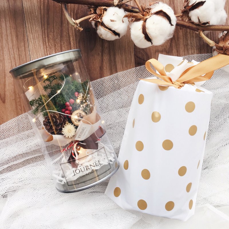 journee 耶诞星光小花罐 / 发光瓶 干燥花束 圣诞礼物 交换礼物 - 干燥花/捧花 - 植物．花 