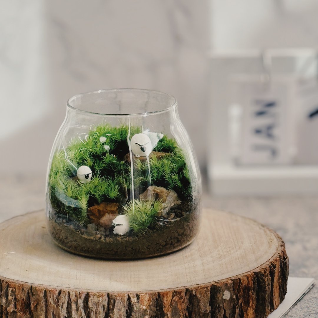 【手作苔藓微景观】小苔羊出没中 生日礼物 办公室疗愈小物 - 植栽/盆栽 - 植物．花 绿色