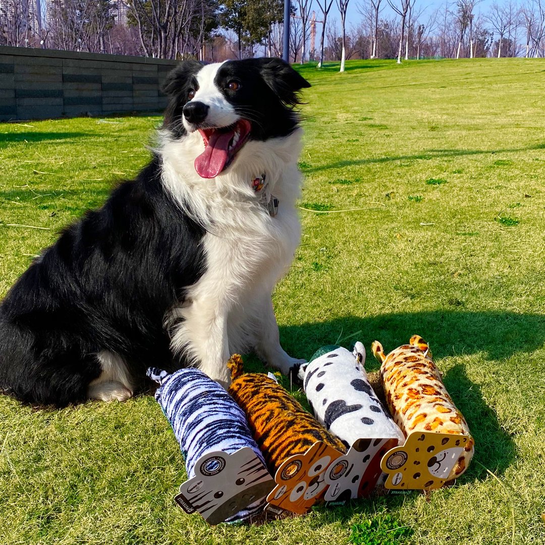 【犬猫玩具】Petsville派思维 一条动物系列宠物玩具(4款) - 玩具 - 玩具 - 聚酯纤维 白色