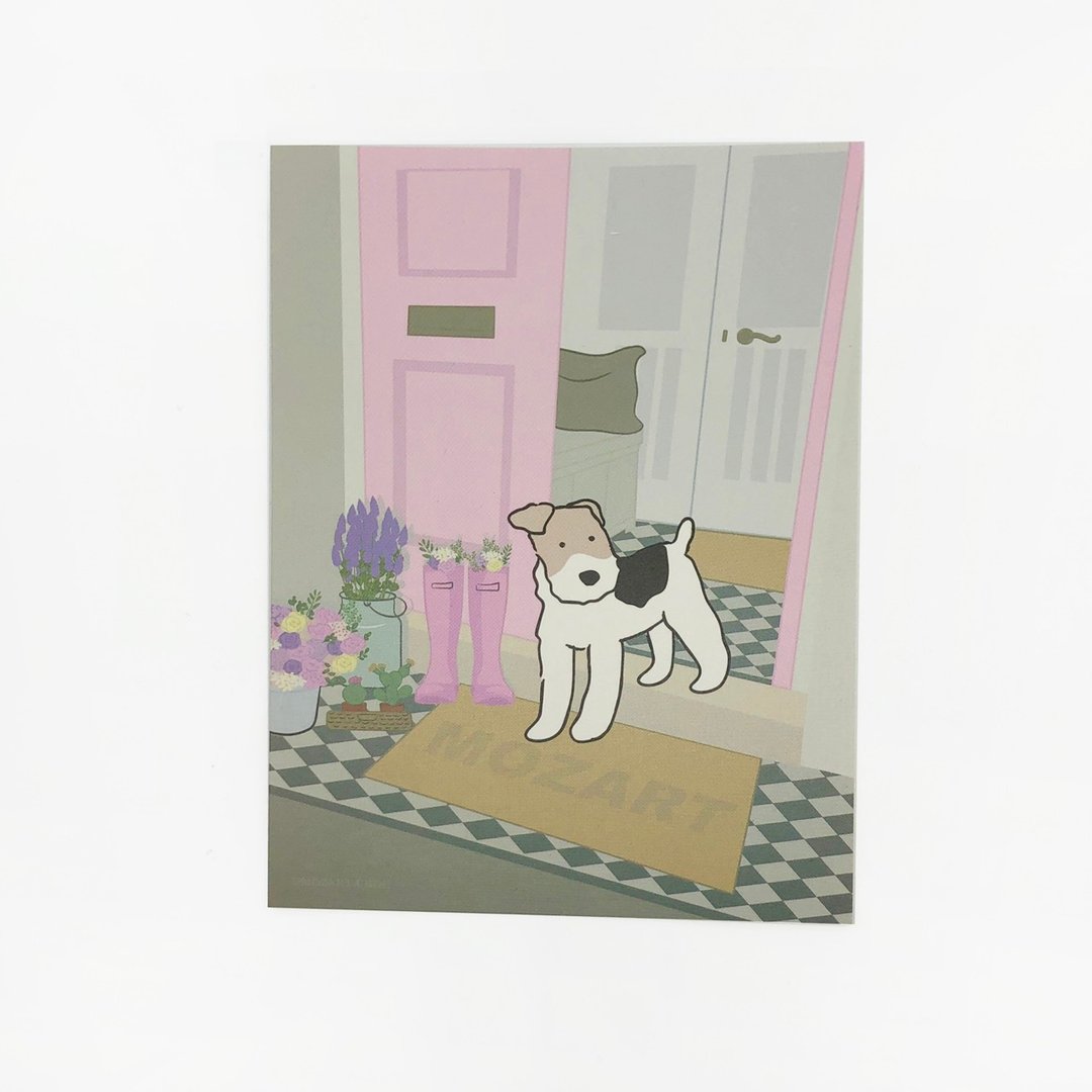 Wirefoxterrier刚毛猎狐梗明信片-门前瞻望 - 卡片/明信片 - 纸 多色