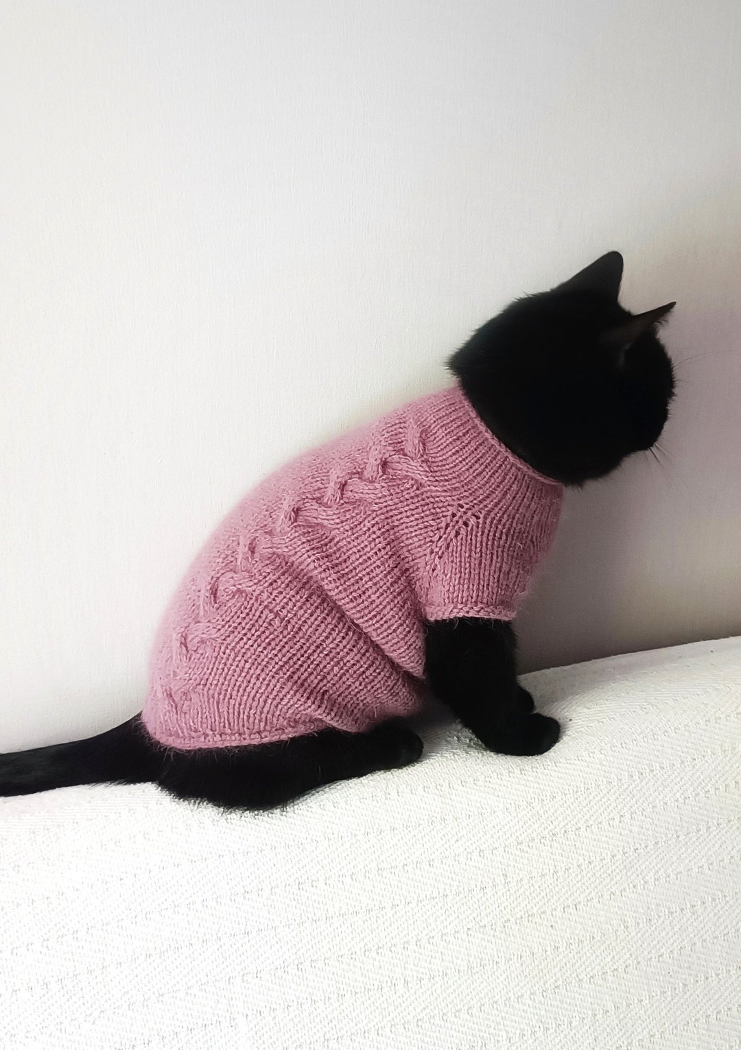 电缆猫毛衣 斯芬克斯服装 羊毛猫毛衣 毛绒猫毛衣 凯蒂装 - 衣/帽 - 羊毛 