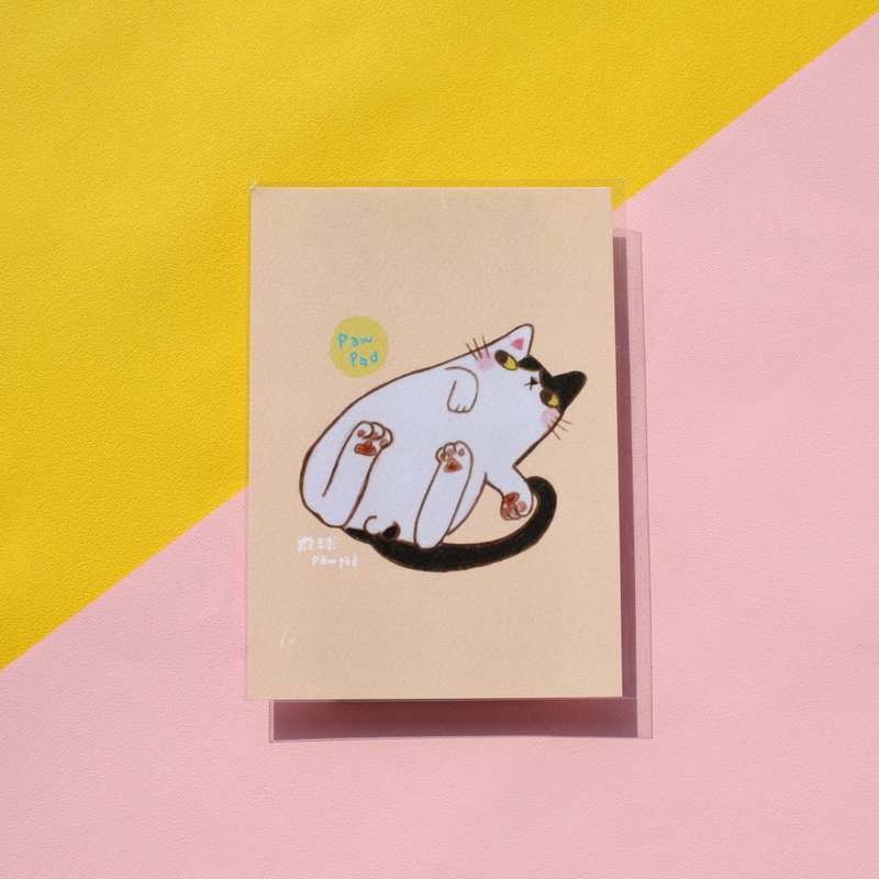 肉球/小林子蛋蛋/明信片 - 卡片/明信片 - 纸 白色