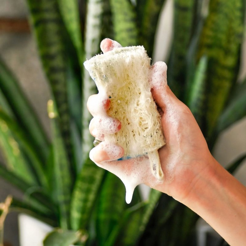 Superbee天然洗碗丝瓜海绵布 5入组 - 其他 - 植物．花 