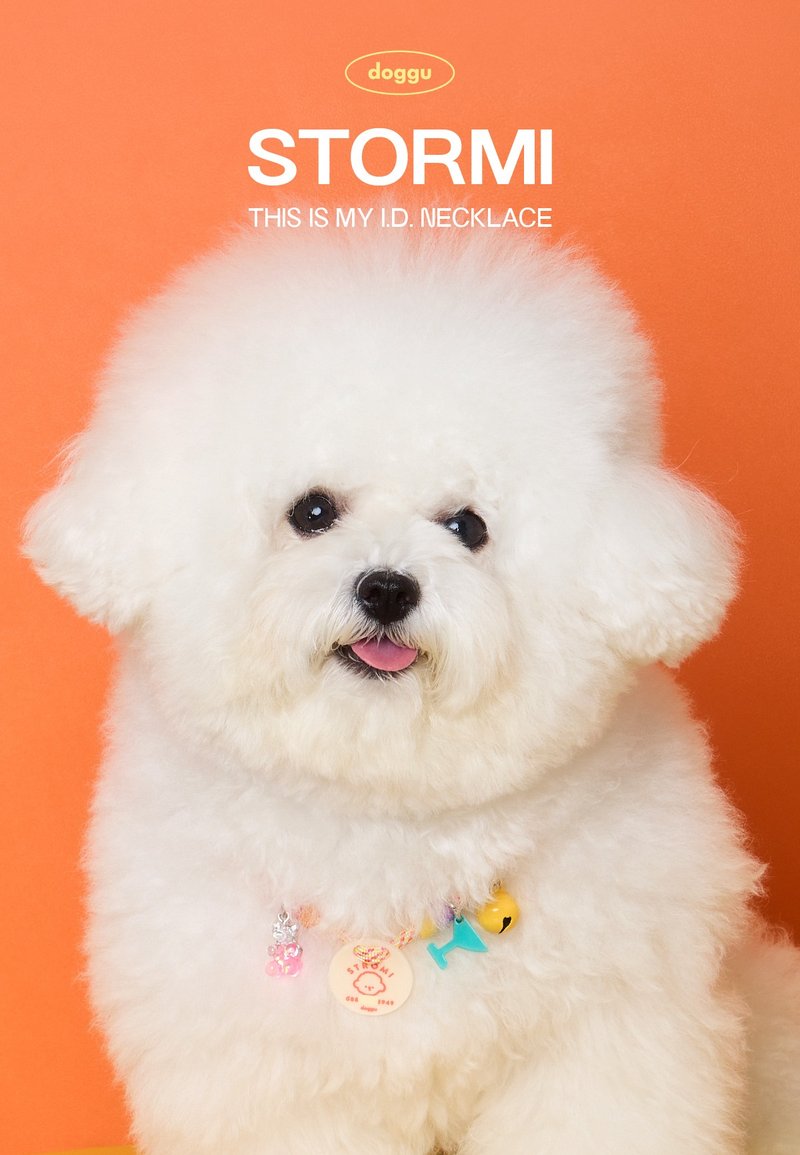 定制化手工宠物名牌项圈 - 铃铛 + 项圈 (含画像 + 电话) - 项圈/牵绳 - 防水材质 多色