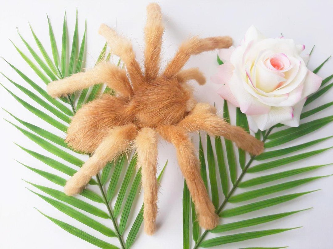 Realistic Saharan Tarantula Spider Wall Mount Home Decor Insect Toy Plush Doll - 墙贴/壁贴 - 真皮 