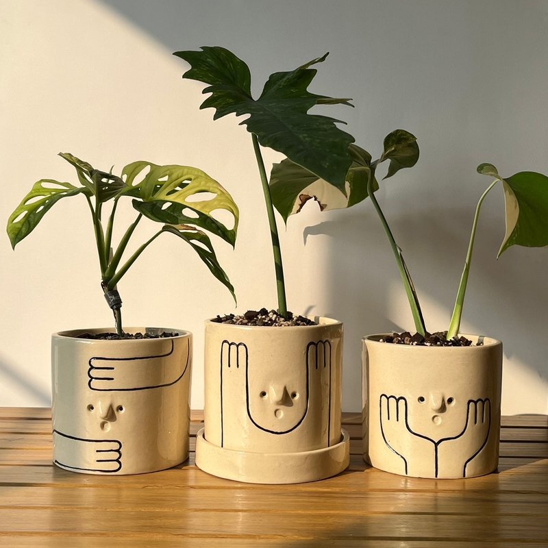 陶瓷花盆带托盘，5英寸，PP-05 - 植栽/盆栽 - 陶 