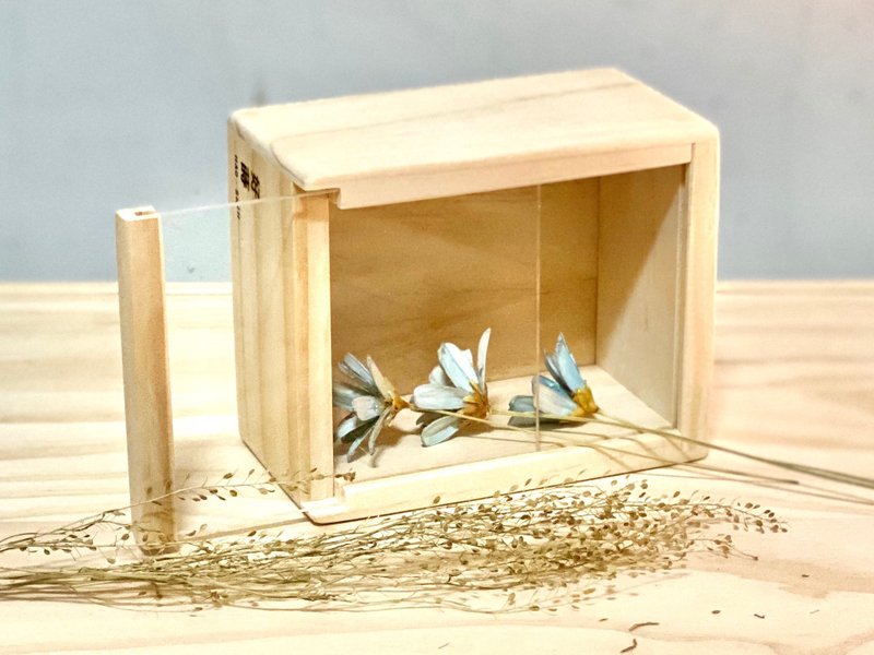 极简 有盖 透明抽取式有盖小迷你木盒【 12 x10 x6.6 】 - 收纳用品 - 木头 卡其色