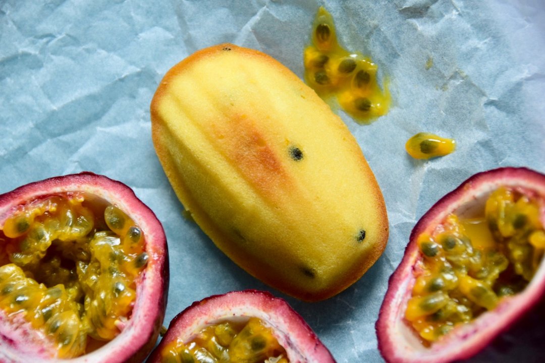 【夏季限定】认真玛德莲- 百香果 - 手工饼干 - 新鲜食材 咖啡色