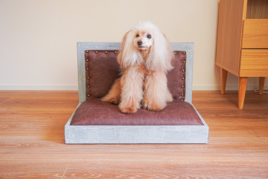 Dog bed Cat bed industrial concrete frame, Vintage leather pet sofa bed - 其他家具 - 水泥 银色