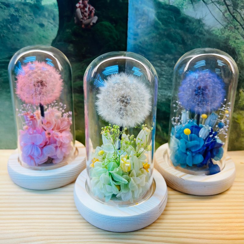 毕业礼物 永生花蒲公英玻璃罩 定制化刻字小木牌 - 干燥花/捧花 - 植物．花 