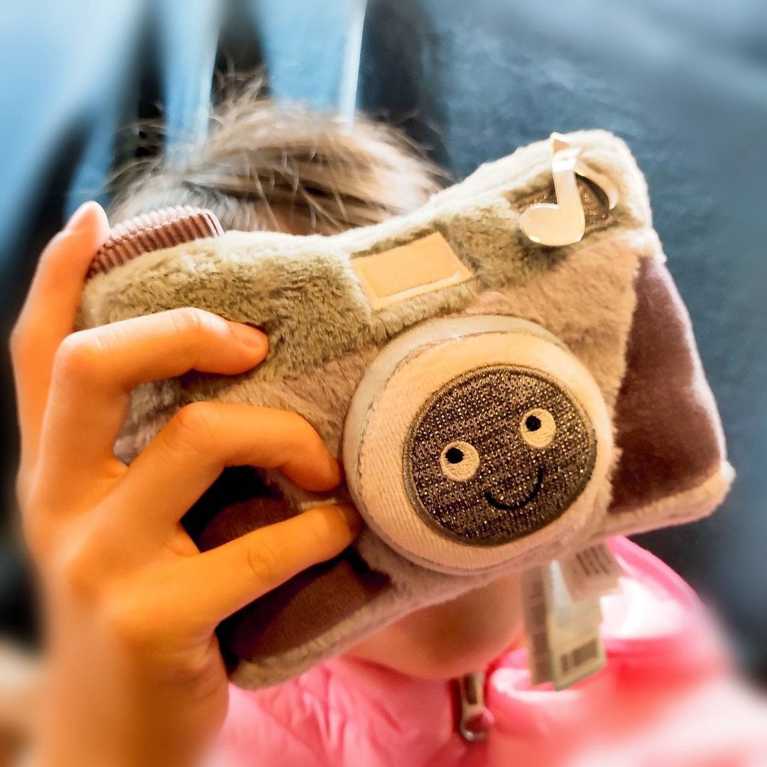 造型玩偶 Wiggedy Camera 复古相机 约17cm 无声 - 玩偶/公仔 - 聚酯纤维 多色