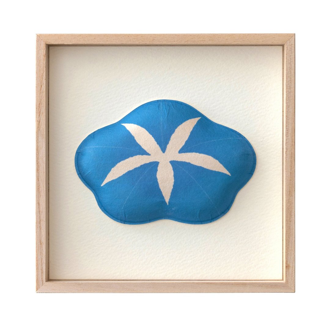 Washi Wall Decoration - Fukura, 1 type of  blue morning glory - 墙贴/壁贴 - 纸 