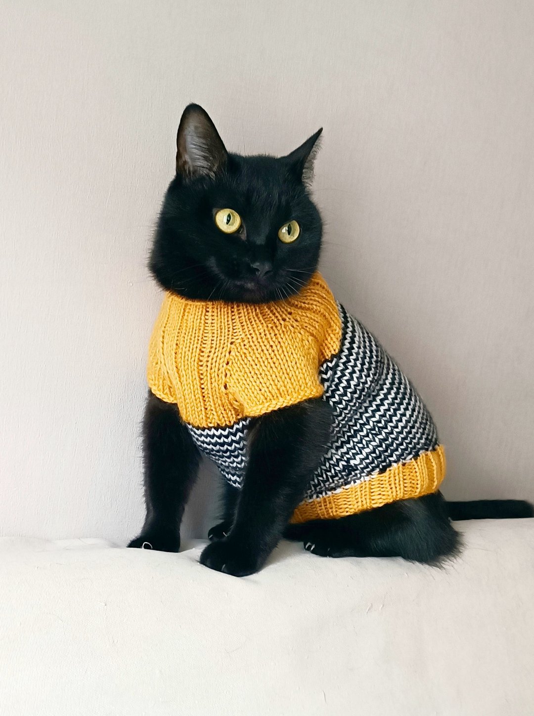 猫毛衣 宠物衣服 猫毛衣 斯芬克斯猫毛衣 小猫毛衣 - 衣/帽 - 羊毛 