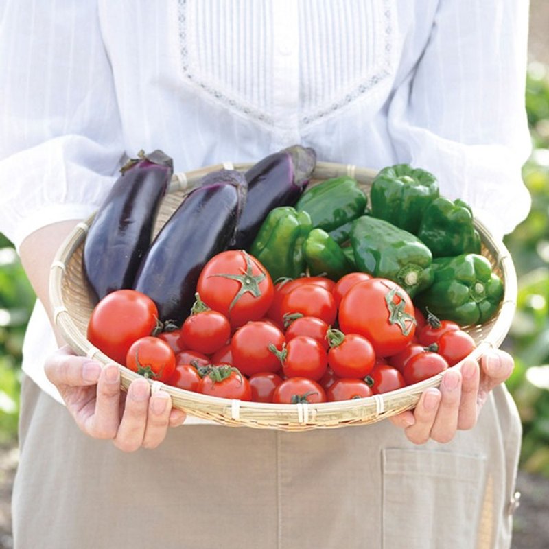 【福利品特卖】Vagetable 自给自足野菜栽培套组 (四款) - 植栽/盆栽 - 塑料 多色