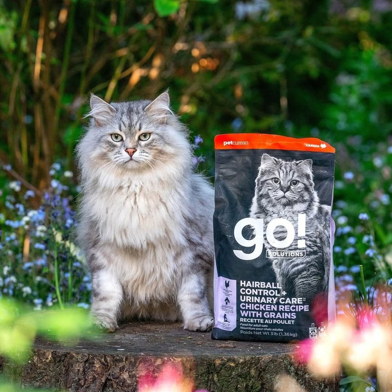 【猫主食】go! 鸡肉 成猫 化毛泌尿 机能保健系列 猫饲料 - 猫罐头/鲜食 - 新鲜食材 