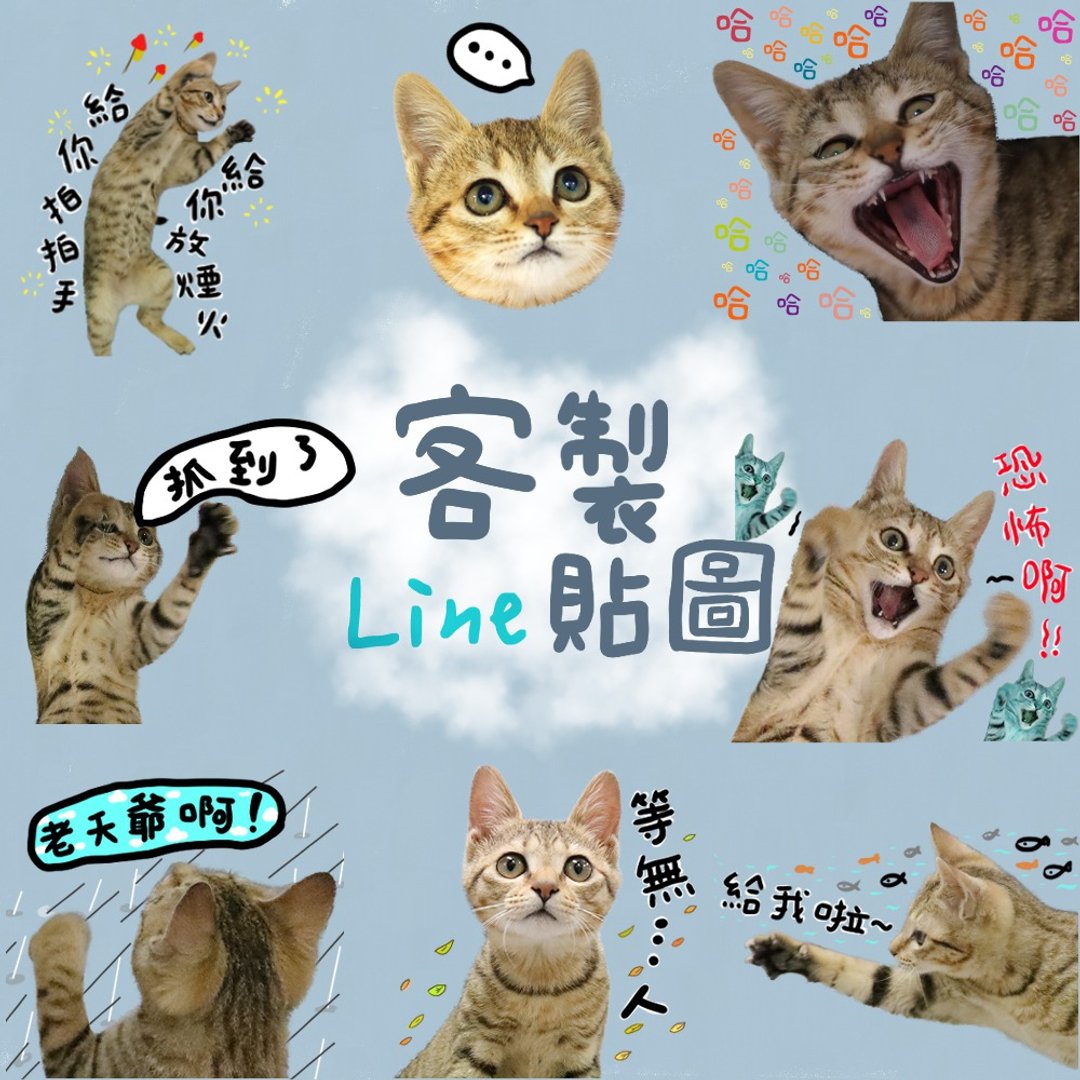 客制化 LINE 贴图 宠物 毛小孩 猫 狗 宝宝 人物 纪念 同学 家庭 - 电脑手机桌布/贴图/App 图示 - 其他材质 多色