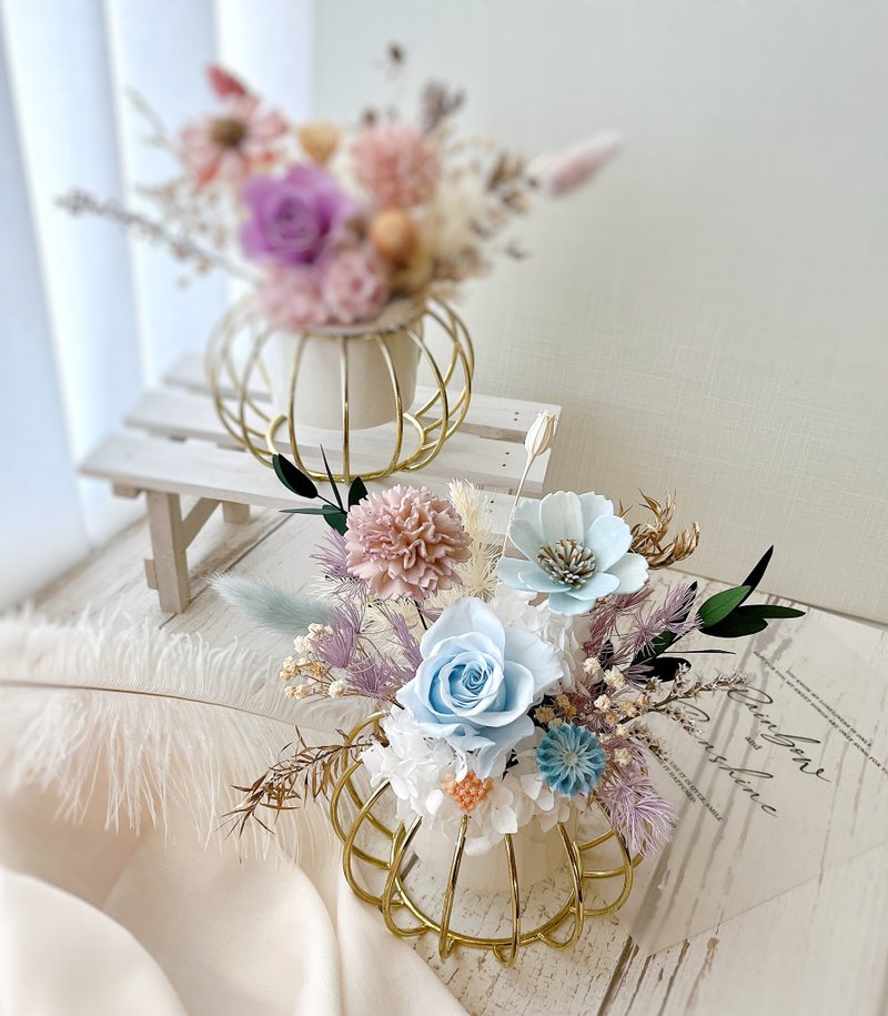 缱绻日常 永生盆花 - 干燥花/捧花 - 植物．花 多色