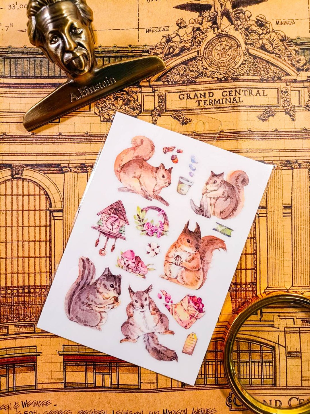 KR521_Cute Animals_msquirrel.B / Transfer Stickers /  轉印貼 - 贴纸 - 塑料 
