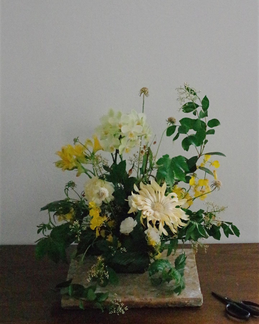 ・Orchid Garten・兰花岛  𝟎𝟏.香柠【定制化礼物】 - 其他 - 植物．花 黄色