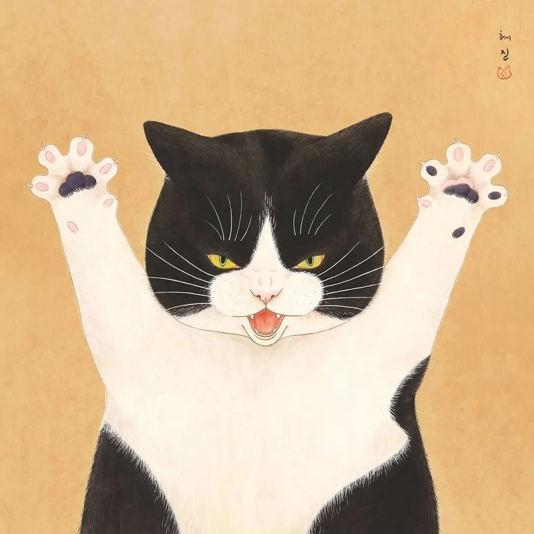 与猫一起度过的３６５天。韩国艺术家猫咪明信片　黑白猫系列 - 卡片/明信片 - 纸 