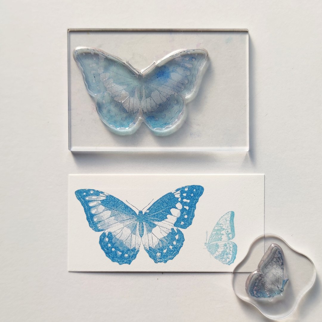 Biology Stamp 裳凤蝶 - 印章/印台 - 树脂 透明