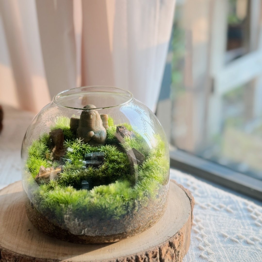 【一物一拍】海利亚女神的守护:萨尔达苔藓缸∣室内植栽 质感送礼 - 植栽/盆栽 - 植物．花 绿色